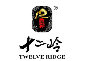 ʮ���X����