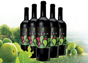 �����o����¶��