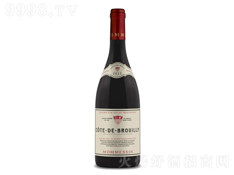 ɽ��ɼt���Ѿ�