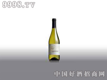 ����̩���F��-�F�廨ɯ��(d��ng)��