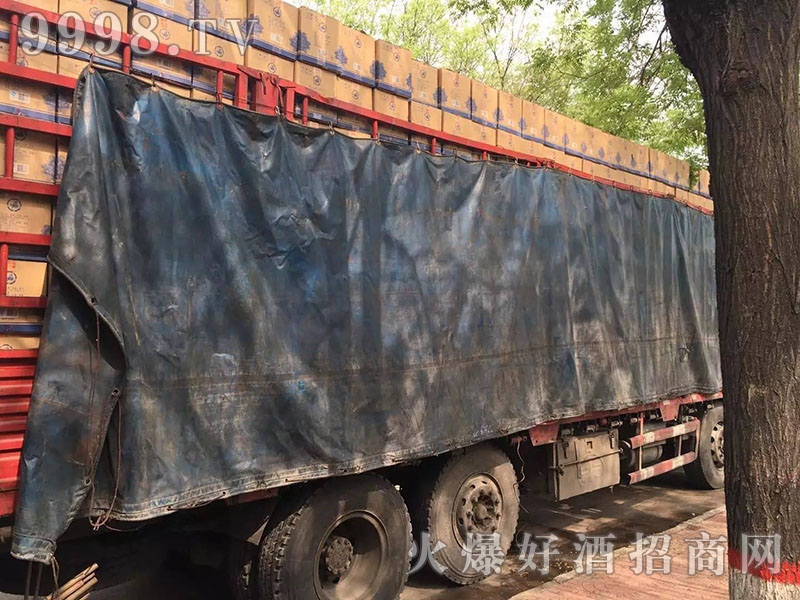 ƷƏSl(f)؛-C(j)еbϢ