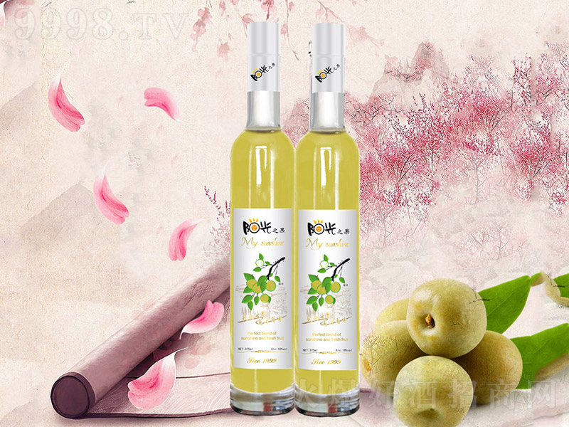 ꖹ֮ϵB(yng)¶÷ơ12 500ml-خa(chn)Ϣ