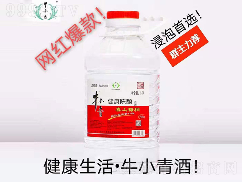 ţСᄾϲü Ͱ׾ơ56 3.9L-׾Ϣ