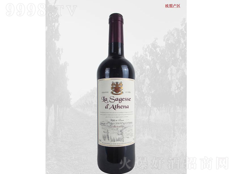 ŵȼtѾơ13 750ml-t(li)Ϣ