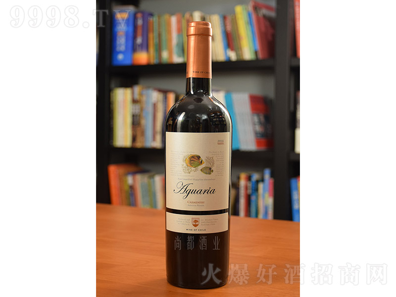 򁆼ȼtѾơ13 750ml-t(li)Ϣ