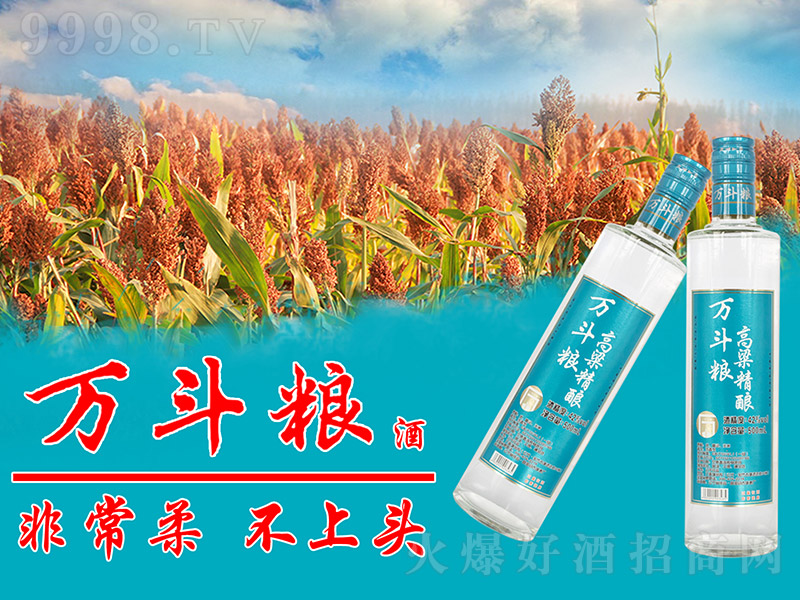 �f���Z������ᄾ� �����͡�42�� 500ml��-�׾�������Ϣ