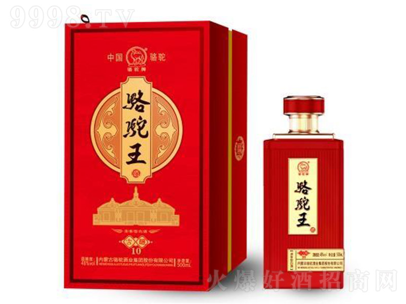 �����ƹ��10 �����͡�48�� 500ml��