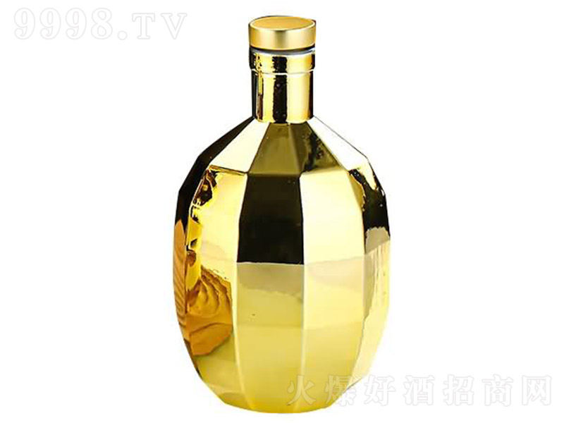 ��ƿϵ��DD-004