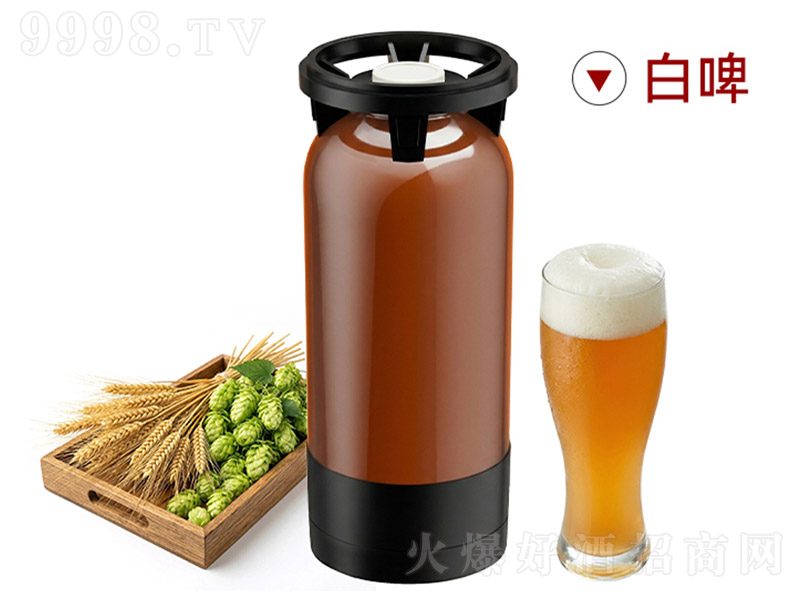 �ٴ󎟵�ʽС��������ơ��13�� 20L��