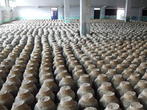 �Ĵ��P���S�����޹�˾