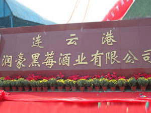 �B�Ƹ۝�����ݮ�ƘI(y��)���޹�˾