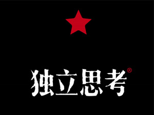 ǿ˰꣨ɶƷƹ޹˾