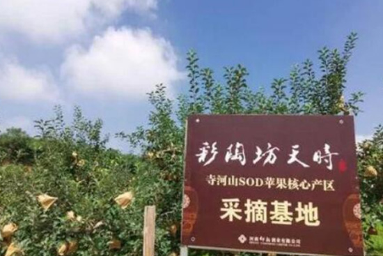 շrºɽOժؒƃxʽT{`ɹek