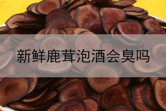 r¹ݾôӣ(hu)l(f)᣿