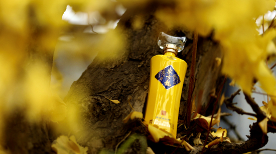 6(g)¡u(mi)؛|t߉݋ʲô