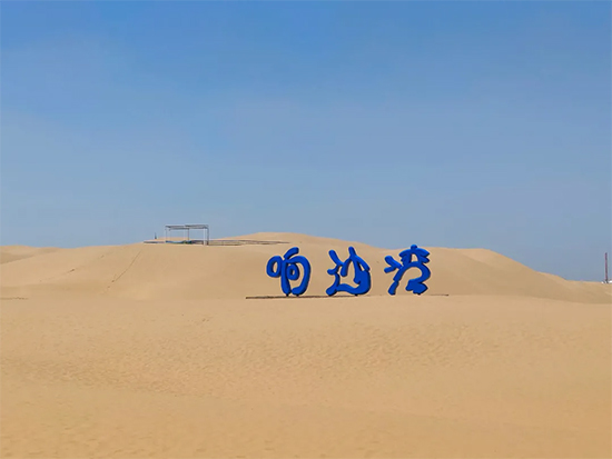 yMơ2021ZM(jn)(ni)ɹţ