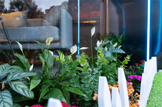 ؛H@Ҿ^͏dһҪw