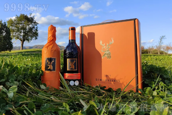 Ϻ孃|(gu)HQ(mo)޹˾