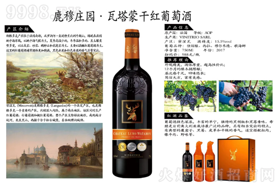 Ϻ孃|(gu)HQ(mo)޹˾