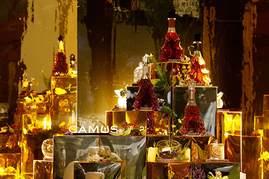 Ľcs ħɭ֡ ܂аĽ(jng)