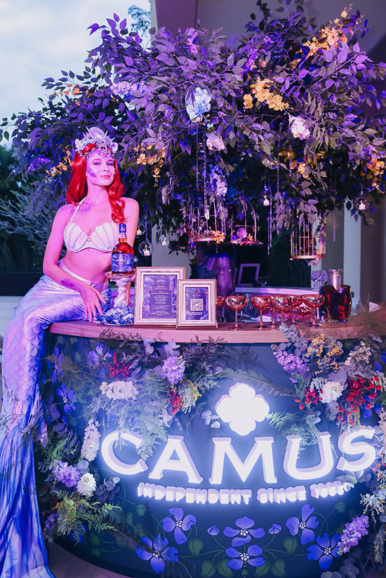 Ľcs ħɭ֡ ܂аĽ(jng)