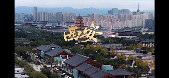 ʳB(yng)վȾ̼ˮʳB(yng)ЇžƽiŶ+؝ǻ