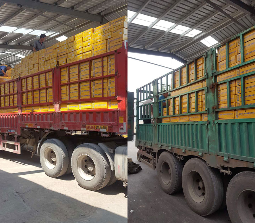 Ӣ(gu)WơƼF(tun)޹˾