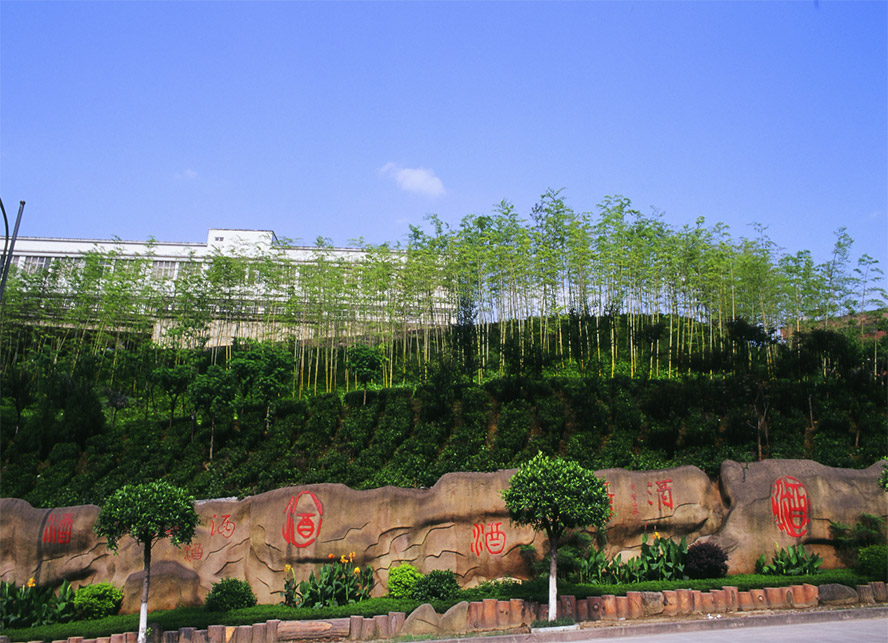 é_FƘI(y)޹˾aƷС