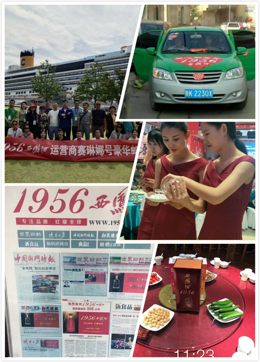 1956PƷ\(yn)I(yng)޹˾