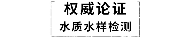 金龍泉啤酒