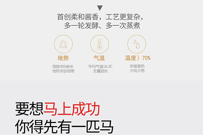 藝術(shù)禮品酒馬到成功醬香型白酒【52度750ml】