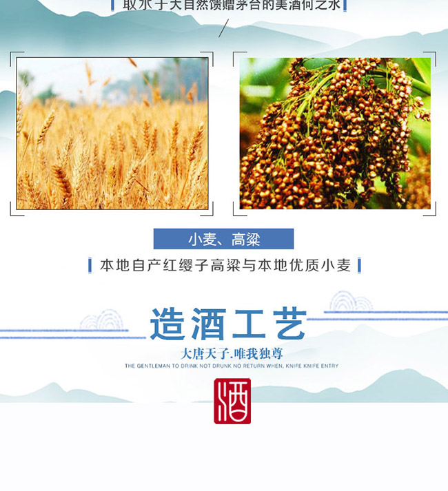 大唐天子酒唯我獨(dú)尊52°500ml濃香型白酒