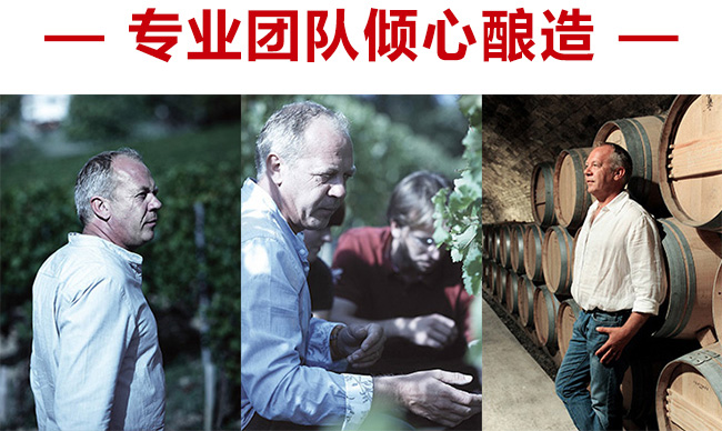 藍(lán)菲·精選干紅葡萄酒