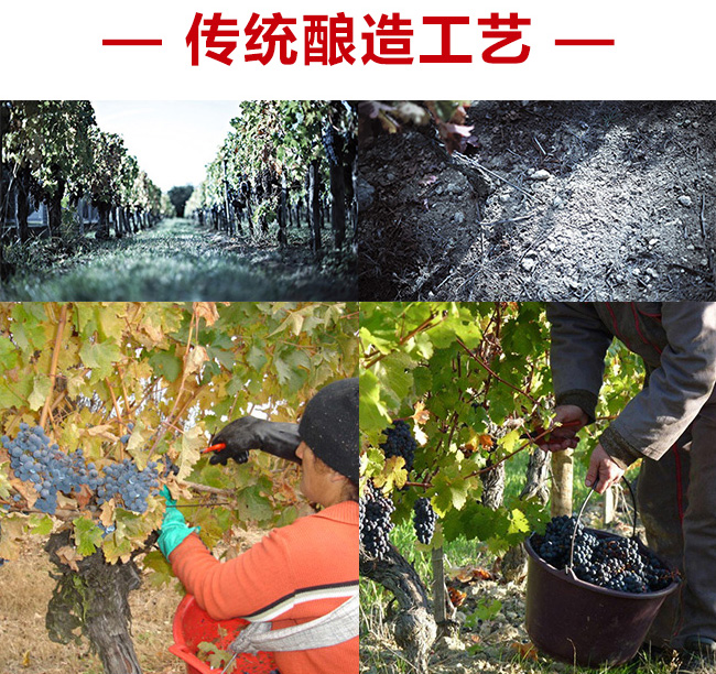 藍(lán)菲·精選干紅葡萄酒