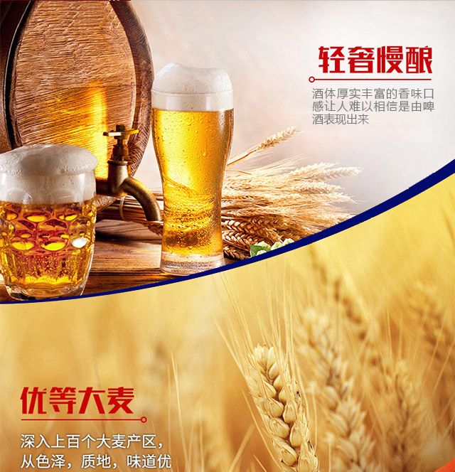 琴島貝爾啤酒500ml×12