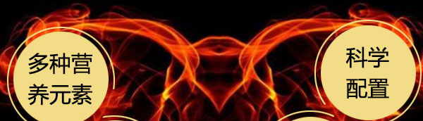 煙臺(tái)三鞭酒【30度5L】