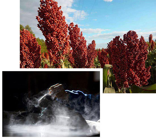 Բ׾ơ҂Ǻú42-200ml-Ͱ׾