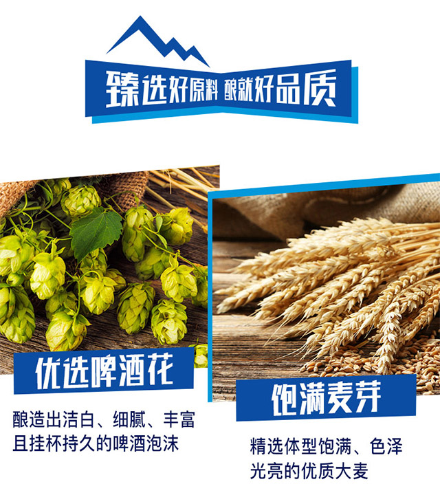 青春記憶青春型啤酒