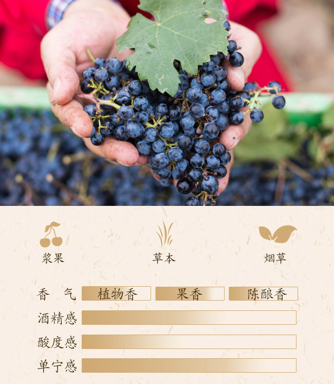 類人首鉆石蛇龍珠干紅葡萄酒