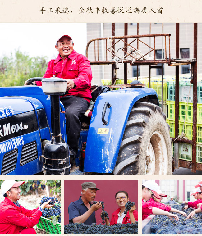 類人首鉆石蛇龍珠干紅葡萄酒