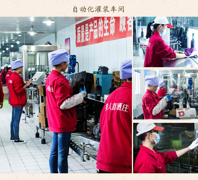 類人首鉆石蛇龍珠干紅葡萄酒