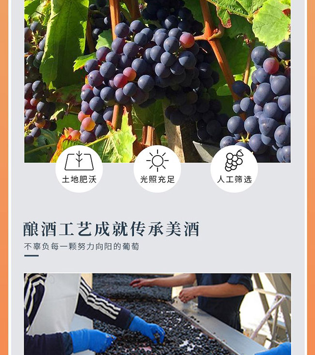 拉貢酒莊干紅葡萄酒【15° 750ml】