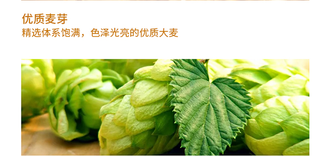 中 國龍精釀原漿禮盒裝1L×6桶