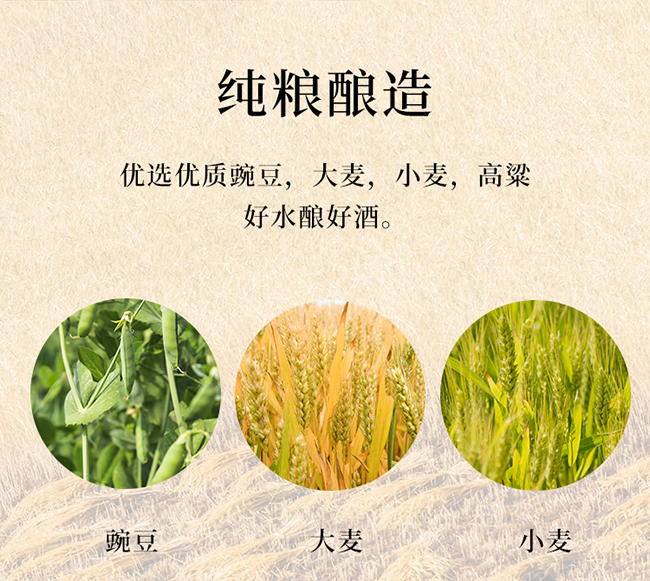 ˮſƝhƾƽA88 Ͱ׾ơ52 500ml