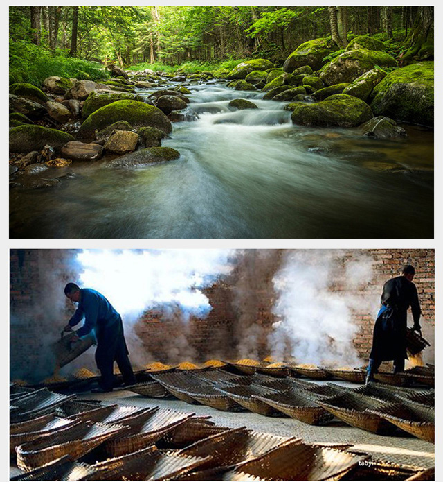 gꖺӾܲ15 42500mlͰ׾