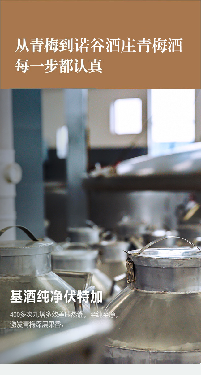 諾谷酒莊青梅酒