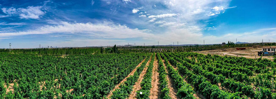     ~{оSݾf޹˾a(chn)Ʒ