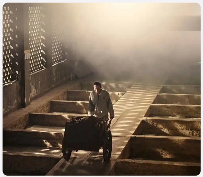 ��푼��Z��ᄰ׾�